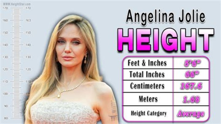 Angelina Jolie Height, Weight, Net Worth, Age, Birthday, Wikipedia, Who, Nationality, Biography