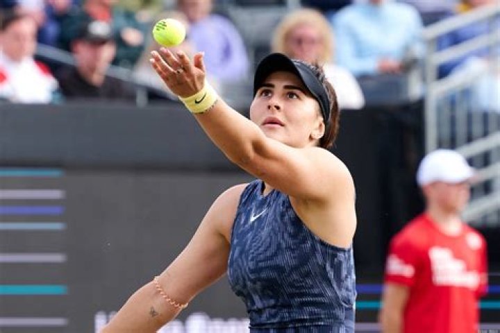 
Bianca Andreescu Height, Weight, Net Worth, Age, Birthday, Wikipedia, Who, Nationality, Biography 