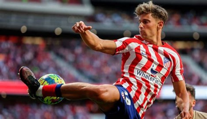 
Fernando Llorente Height, Weight, Net Worth, Age, Birthday, Wikipedia, Who, Nationality, Biography 