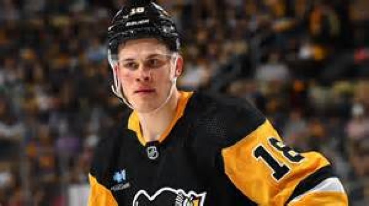 Jesse Puljujarvi Height, Weight, Net Worth, Age, Birthday, Wikipedia, Who, Instagram, Biography