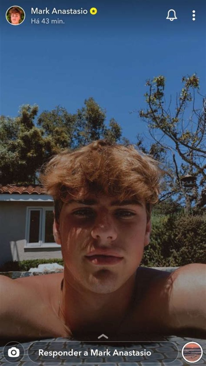 Mark Anastasio Height, Age, Boyfriend, Biography, Wiki, Net Worth