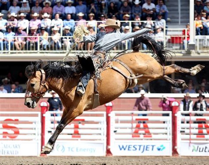 Saddle Bronc Rider Dawson Hay And Wife Lily Hay Married In October 2021