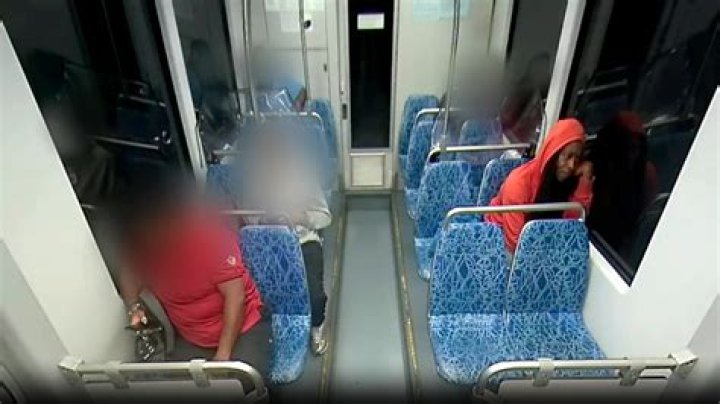 
Samantha Maldonado GoFundMe raises over $23000 as woman stabbed on a Chicago train platform 