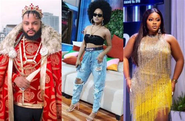 
“So it was paining you” BBNaija’s Whitemoney mocks Tega as he defends Phyna’s loud behavior 