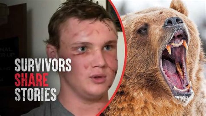 What Happened To Todd Orr? Montana Bear Attack Survivor Death Update And Obituary