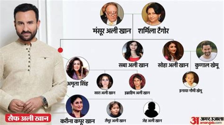 
Who are Ali Karimis Parents? Ali Karimi Biography, Parents Name, Nationality and More 