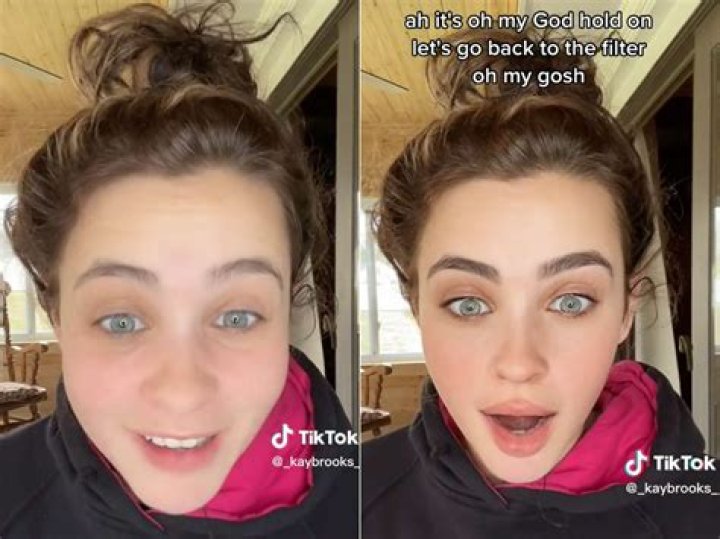 
Who Is TikTok Banter Queen Aka Elsa Frost? Arrested Over Offensive Videos On Her TikTok Account 