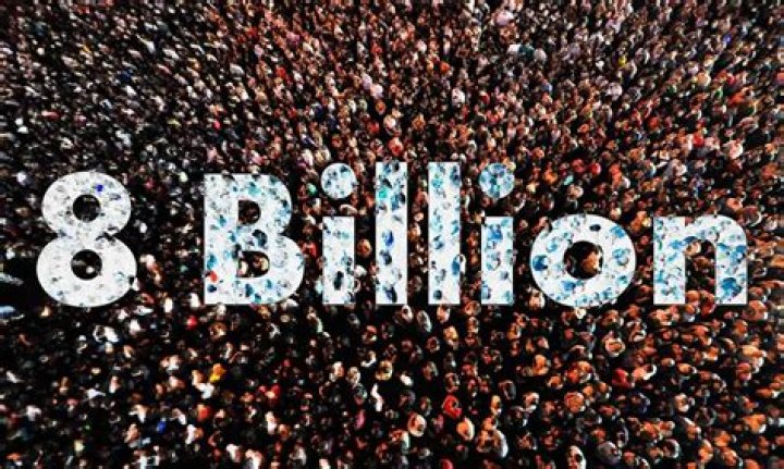 
World Population to Reach 8 Billion People This Week, United Nations Projects 